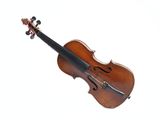 gros plan d'un violon sur fond blanc
