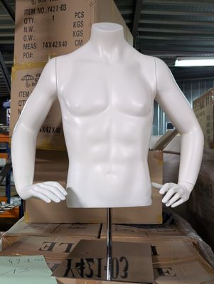 Buste masculin réaliste en matière synthétique finition blan…