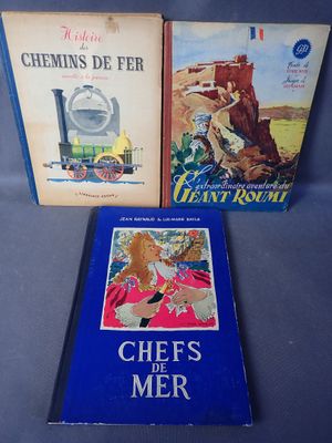 Lot de 3 albums : Chefs de mer, Géant Roumi et Histoire de c…