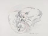 dessin représentant deux chats recroquevillés en cercle sur une surface blanche