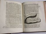 an open book with a drawing of a worm inside of it
