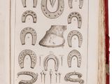 an old book with a drawing of horseshoes and horseshoes on it