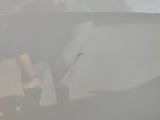 a reflection of a person in the back of a car
