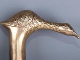 an image of a close up of a walking stick with a bird on it