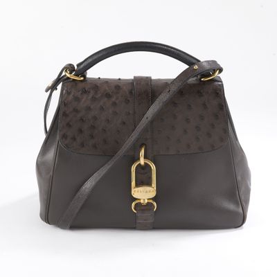 un sac à main en cuir d'autruche marron et noir, avec des finitions dorées