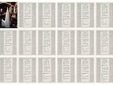 a collage of photographs of a wedding ceremony with a bride and groom