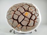 a white plate with a crack in the middle of it