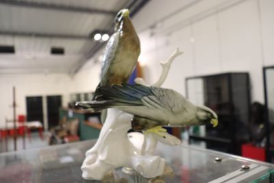 un oiseau perché sur une table en verre