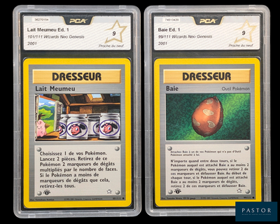 Il s'agit de deux cartes présentant des motifs différents sur fond noir.