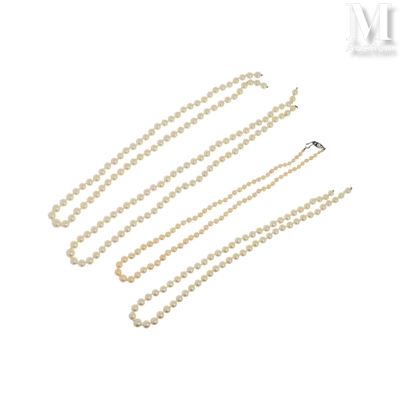 gros plan d'un collier de perles sur fond blanc