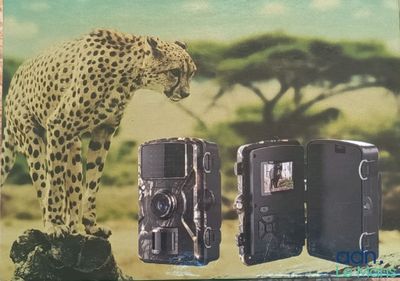 a picture of a picture of a cheetah on the cover of a book
