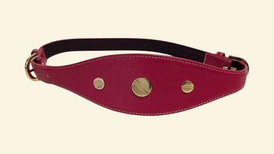 a close up of a red leather dog collar with brass studs