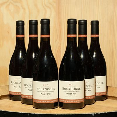 six bouteilles de vin rouge sont alignées sur un tonneau en bois