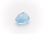 a blue topazte gems on a white background
