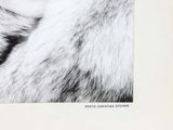 photograph of a woman wearing a fur coat and a black and white photo