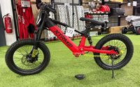 Moto enfant électrique XTRM 81 DX18, tout terrain, 500 W 36 … (photo 2)