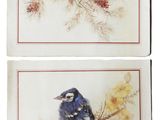 deux tableaux représentant des oiseaux perchés sur une branche d'arbre avec des pommes de pin