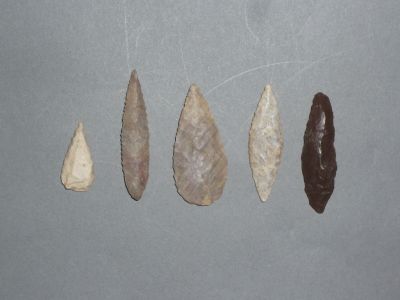 Plusieurs types de pointes de flèche sont représentés sur une surface grise.