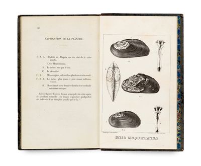 an open book with illustrations of different types of food and utensils