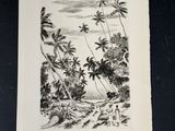 un vieux dessin en noir et blanc représentant une scène tropicale avec des palmiers