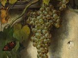 un tableau représentant un oiseau perché sur une grappe de raisin