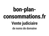 Photo 1/1 du lot