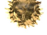 a picture of a gold plate with a sunflower on it