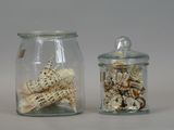 two glass jars with shells inside of them on a table