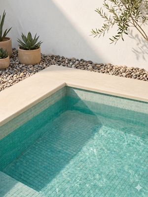 a small pool in the middle of a small garden