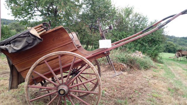 Charrette anglaise avec capote cuir 2 roues en bois. Bouchon cach...