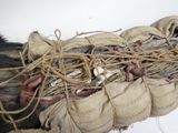 une photo montrant un sac contenant des animaux morts posé sur une surface blanche