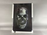a picture of a picture of a skull on the wall