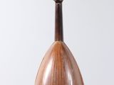 a close up of a mandolin on a white background