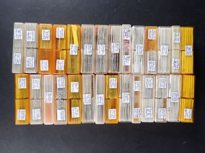 Plusieurs piles de livres sont empilées les unes sur les autres sur une table