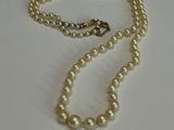 collier de perles sur fond blanc, muni d'un fermoir doré
