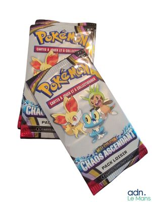deux paquets de cartes à collectionner Pokémon empilés l'un sur l'autre