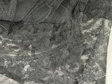 a black and white photo of a piece of lace
