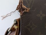 a small moth that is sitting on a louis vuitton bag
