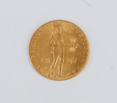 a close up of a gold coin on a white surface
