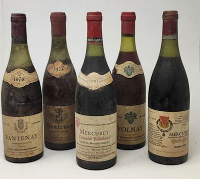 5 bouteilles BOURGOGNE rouges, (Mercurey 1981 Domaine Baudra…