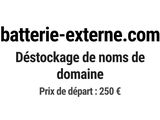 Photo 1/1 du lot