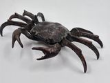 a crab that is sitting on a white surface