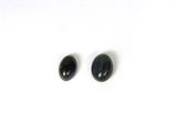 une paire de tourmalines noires sur un fond blanc
