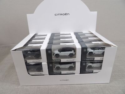 une vitrine contenant de nombreux modèles de voitures différents