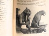 un livre ouvert sur lequel figure l'image d'un homme et d'un chien