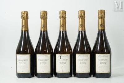 six bouteilles de vin sont alignées sur une surface blanche