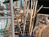 a blue bucket with a bunch of gardening tools inside of it