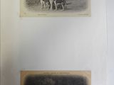 two old black and white photos of people and animals in a field