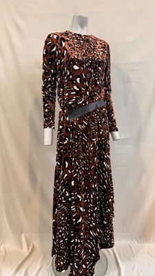 La robe est marron et noire, avec des taches blanches.