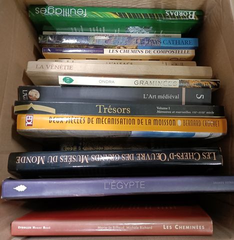 Lot de livres illustrés (art, voyages)